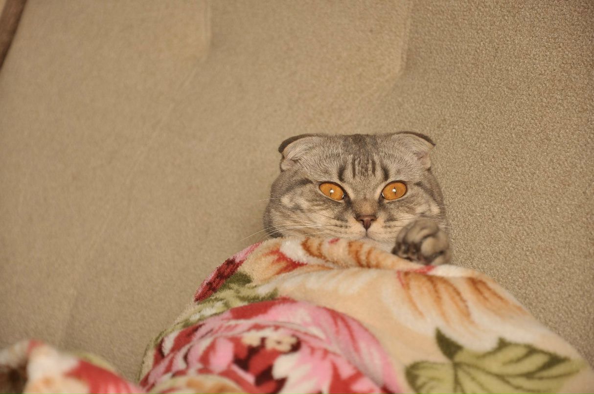 Анна Иванова | Санкт-Петербург