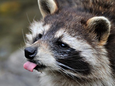 Александр Ершов | Степногорск