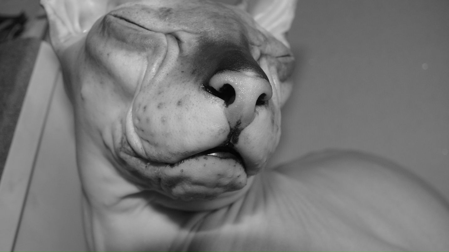 Женька Коробова | Москва