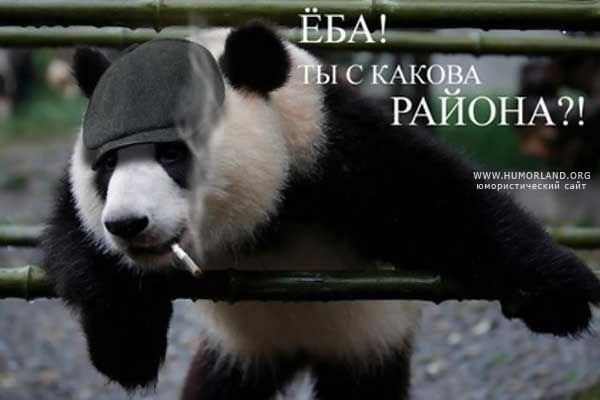 Антон Любченко | Киев