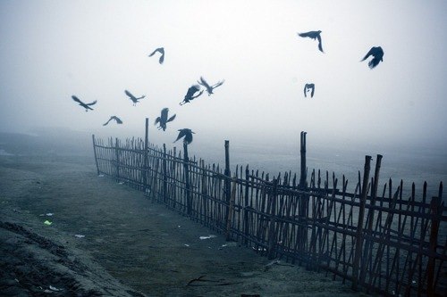 Дима Смирный OstapBertaMariaBenderBei | Белая Церковь