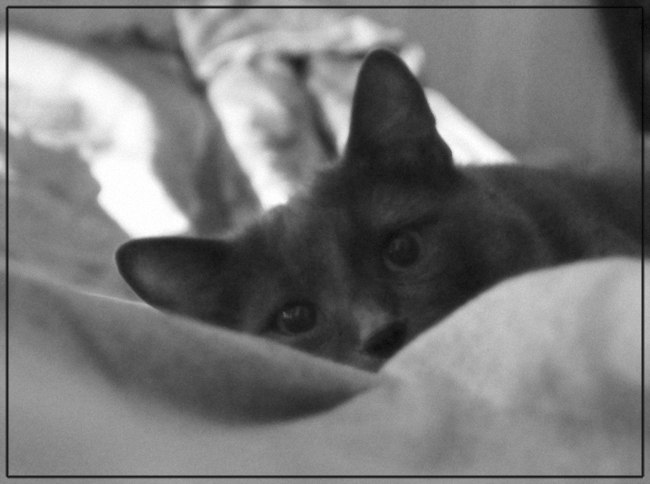 Алёна Яковлева | Москва