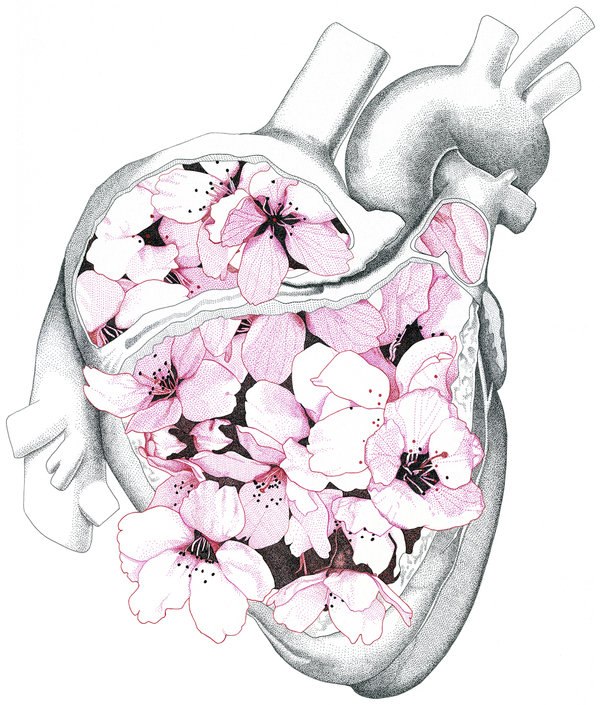 Ксения Кротова | 