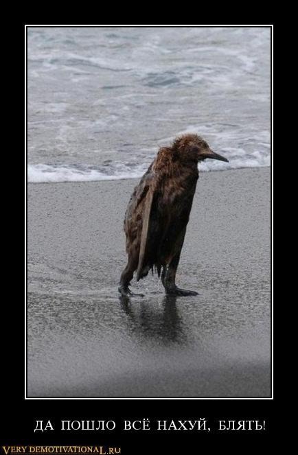 Артем Короткевич Gastello00 | Минск