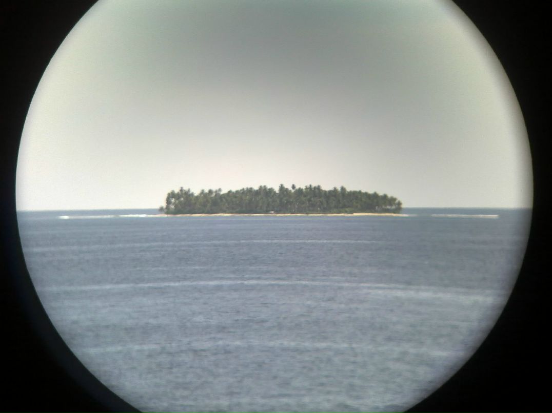 Георгий Новицкий | Одесса