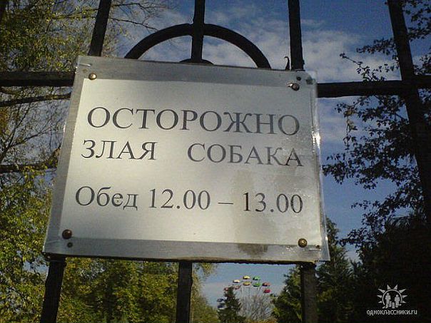 №70, Вячеслав Гульцев, 71 год, Санкт-Петербург №70, Вячеслав Гульцев, 71 год, Санкт-Петербург