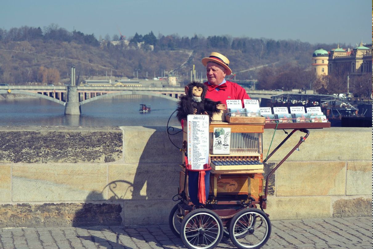 Мария Живаева | Санкт-Петербург