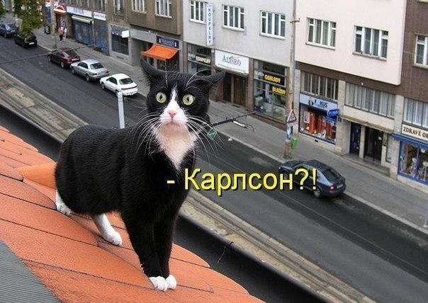 Сергей Сорокин | Краснодар