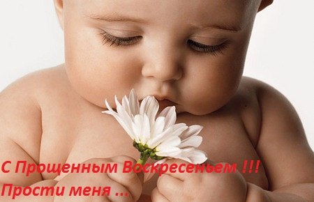 №12, Светлана Ипатенко, Новая Одесса №12, Светлана Ипатенко, Новая Одесса