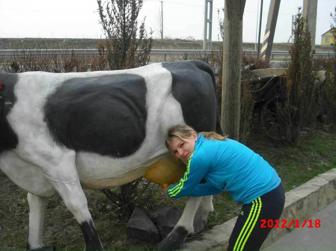 Паша Цал-цалко | Новоград-Волынский