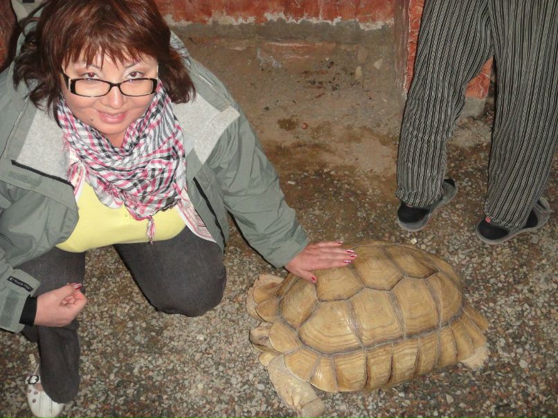 Гульнара Фатихова | Уфа