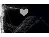 Света Сакович | 