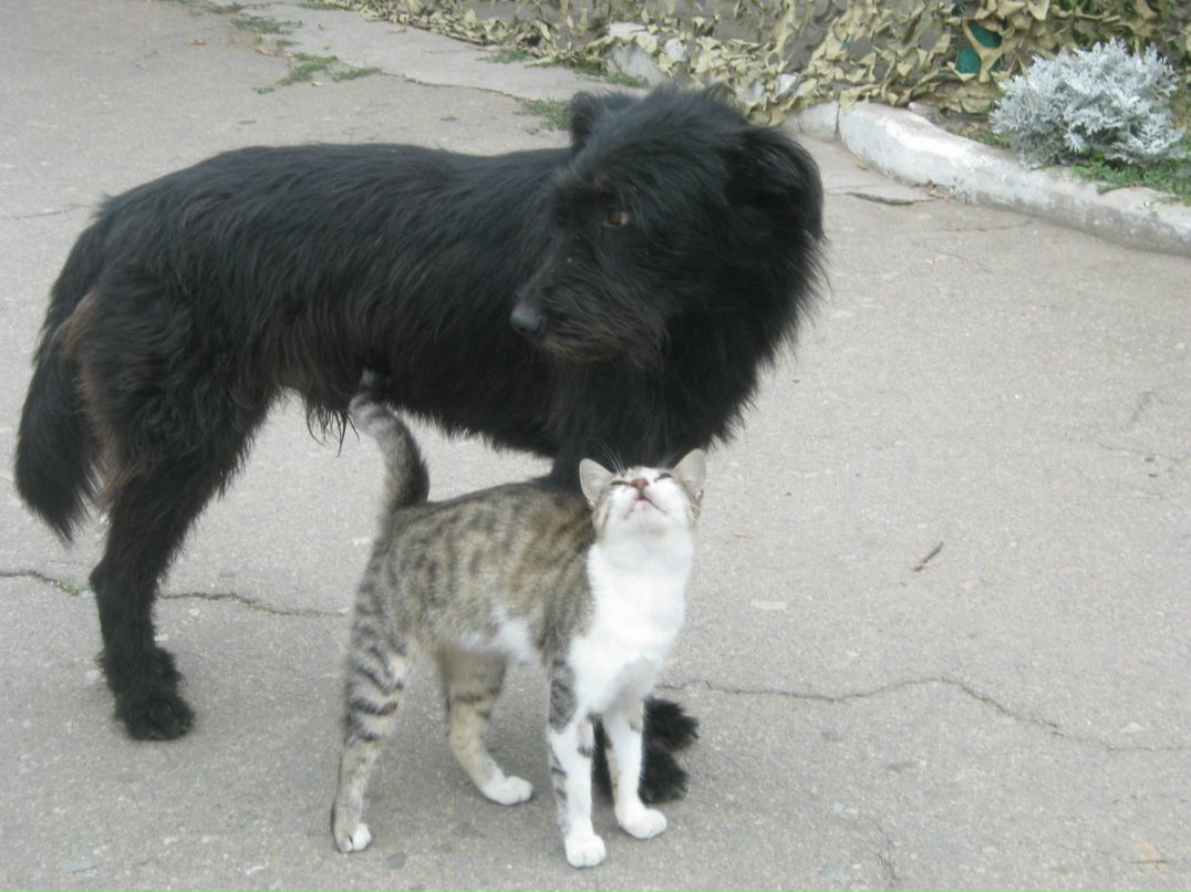 Наталья Загуляева | 