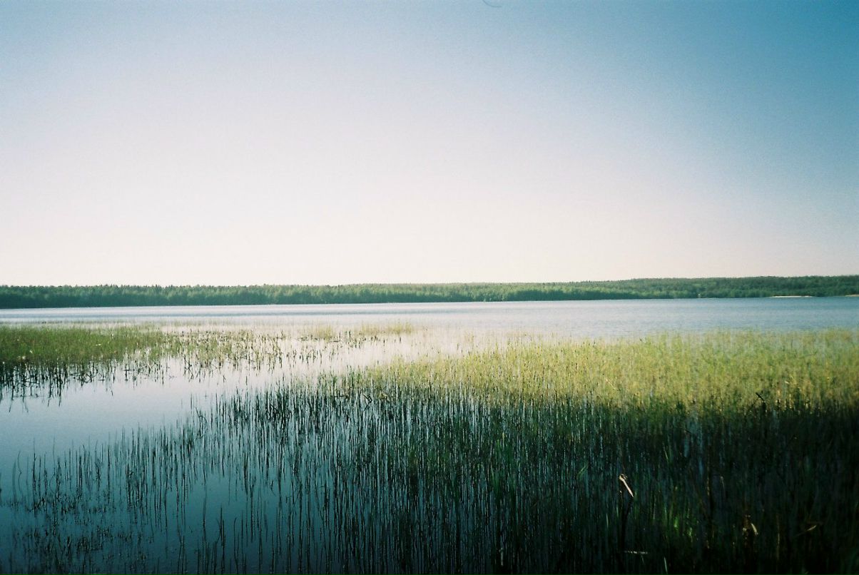 Павел Миронов | Санкт-Петербург