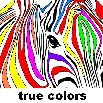 Кирилл Засыпкин | Киев