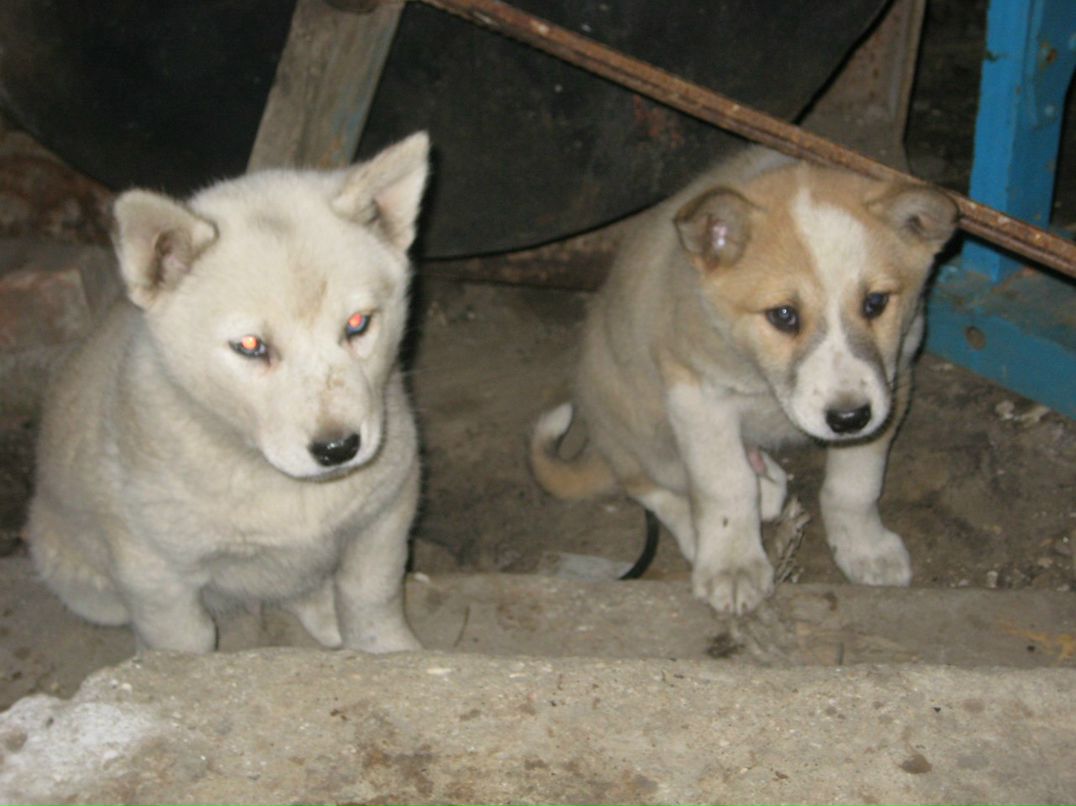 Ирка Горбачева | Одесса