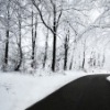 Аватар: Ангелінка Довганич