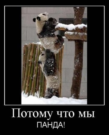 Егор Артемьев | Алматы