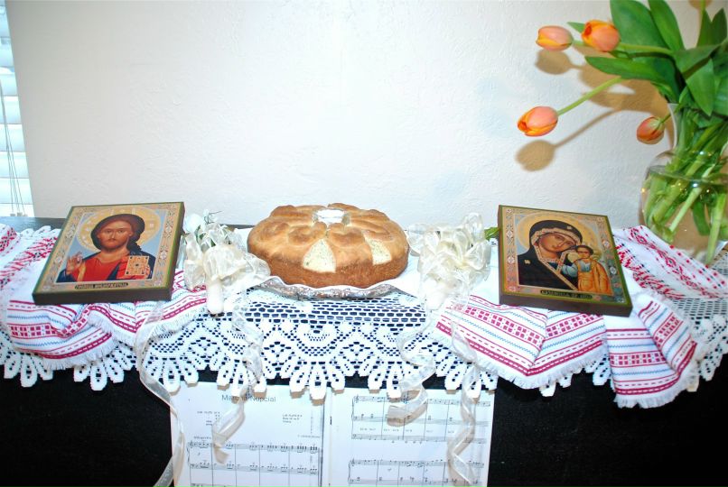 Валерия Лукина | Santa Cruz