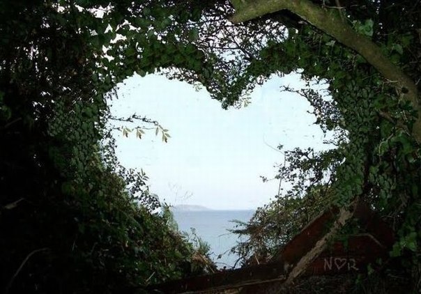 Галина Міхалєва | Львов