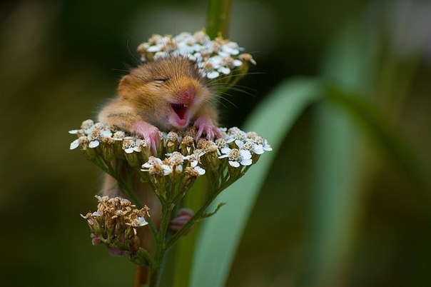 №180, Екатерина Васянович №180, Екатерина Васянович