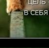 №37 Ирина Мигунова : профиль, фото, статус - ВКонтакте