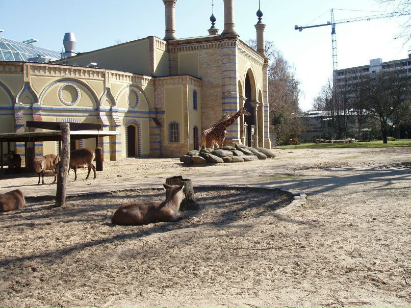 Дмитрий Фидчунов | Ростов-на-Дону