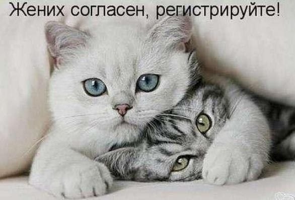 Анна Волвенко | Черкассы