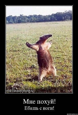 Валентин Васильев | Улан-Удэ