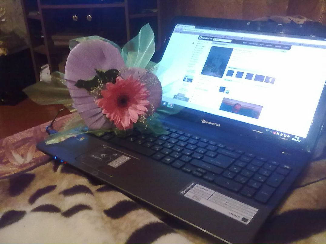 Надежда Коробицына | Череповец