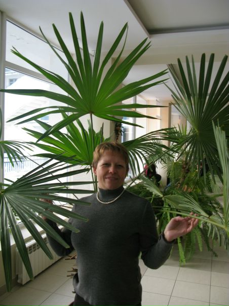 №12, Татьяна Корнеева №12, Татьяна Корнеева