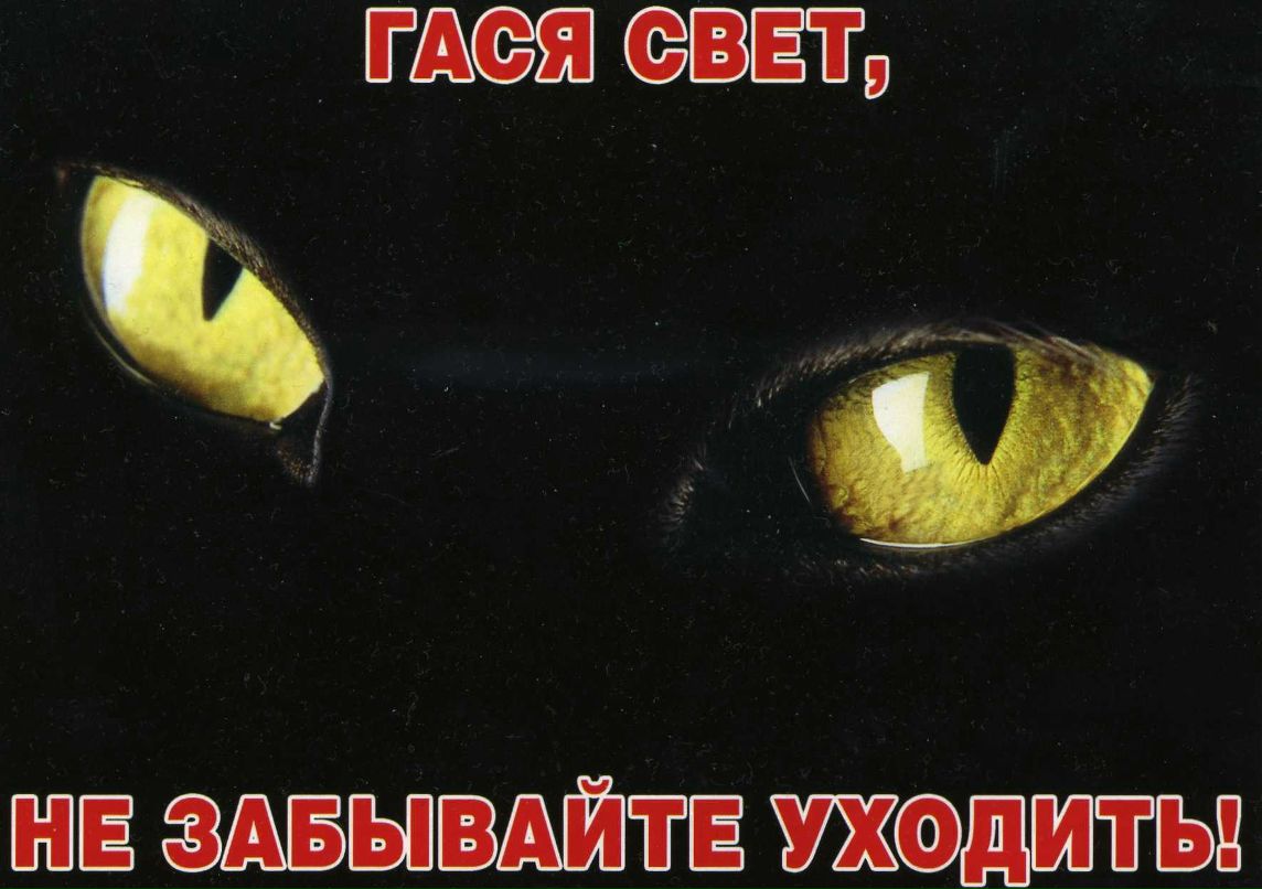 Светлана Медведева | Междуреченск