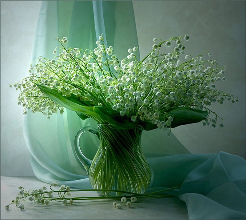 Варя Рожанская | Уфа