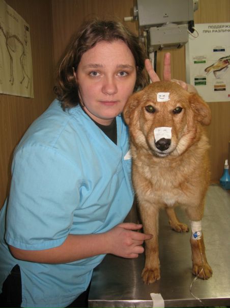 №73, Анастасия Кортес, Москва, Россия №73, Анастасия Кортес, Москва, Россия