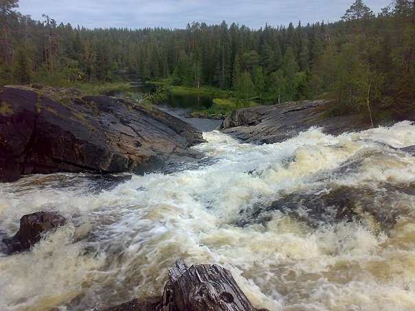 Максим Медяков | Фрязино