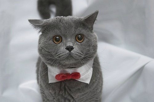 Женя Правенький ...*Хранитель_Ангела*... | Киев