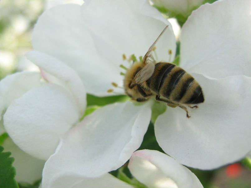 Наталья Лутонина | Омск