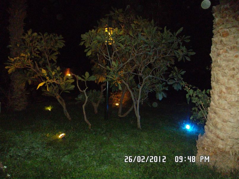 Marina Vlasova | Санкт-Петербург