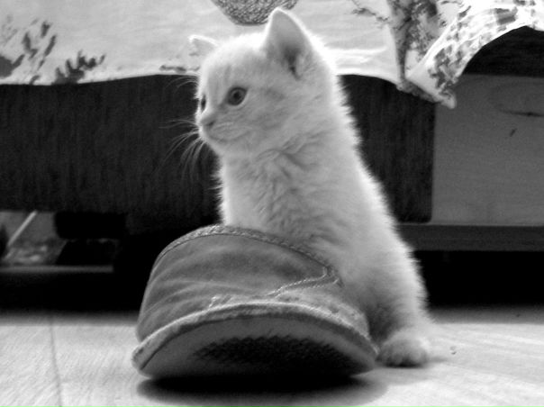 №196, Александр Корнилов, Нижний Новгород №196, Александр Корнилов, Нижний Новгород