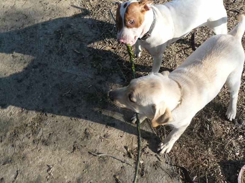 Инна Ошовская | Одесса