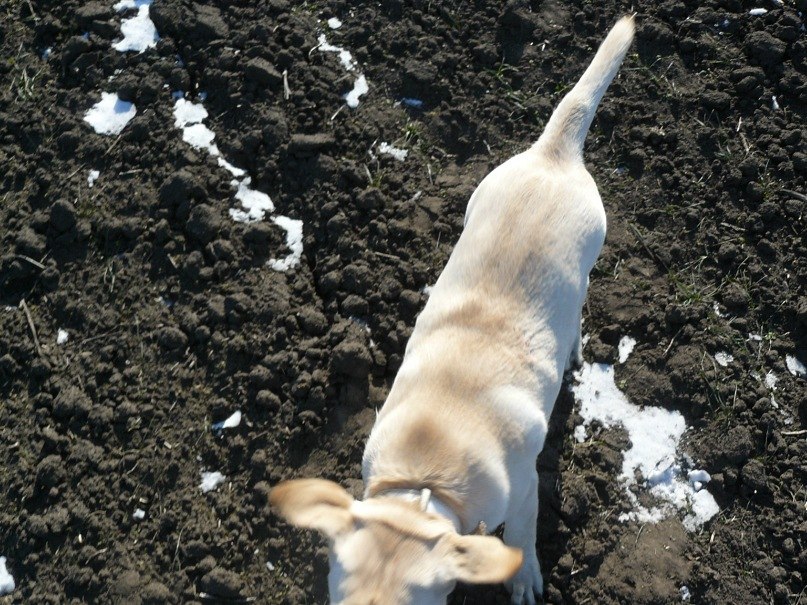 Инна Ошовская | Одесса