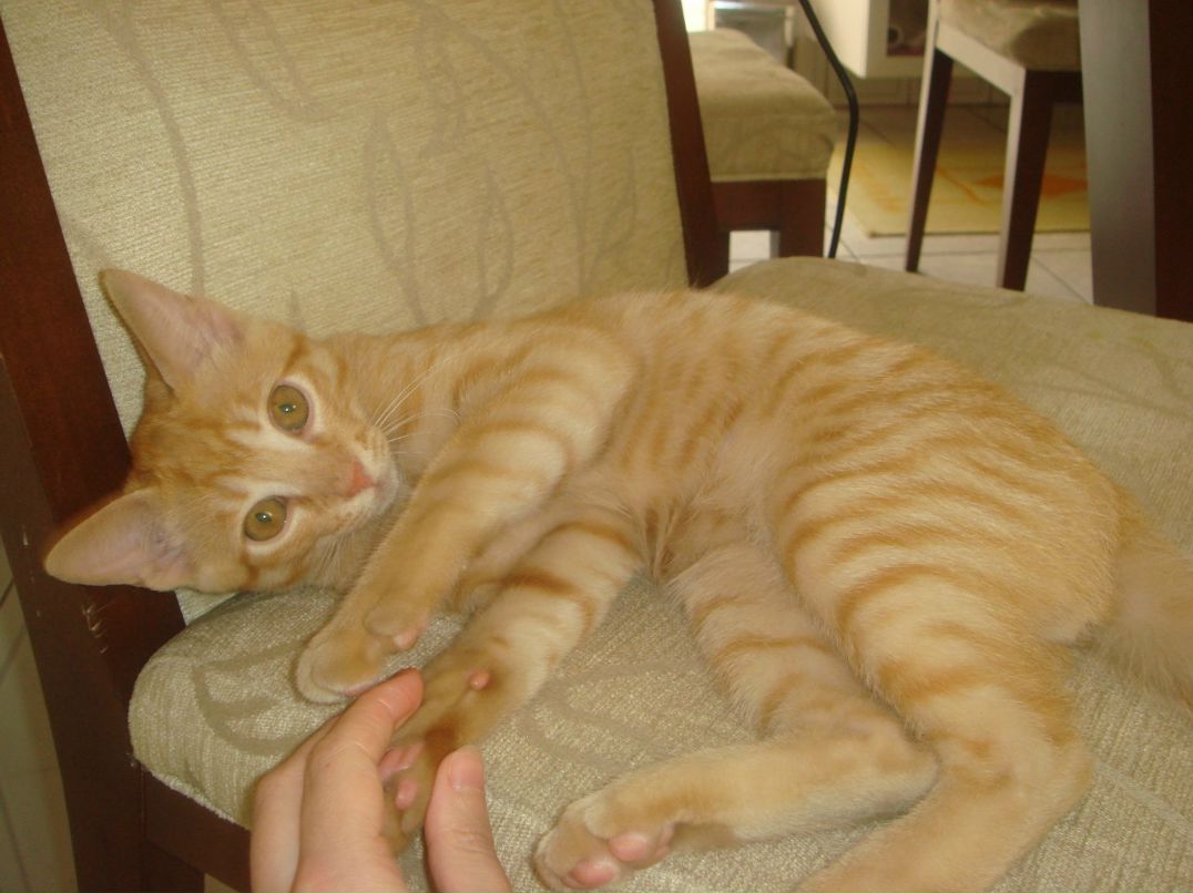 Светлана Габдулсалихова | 