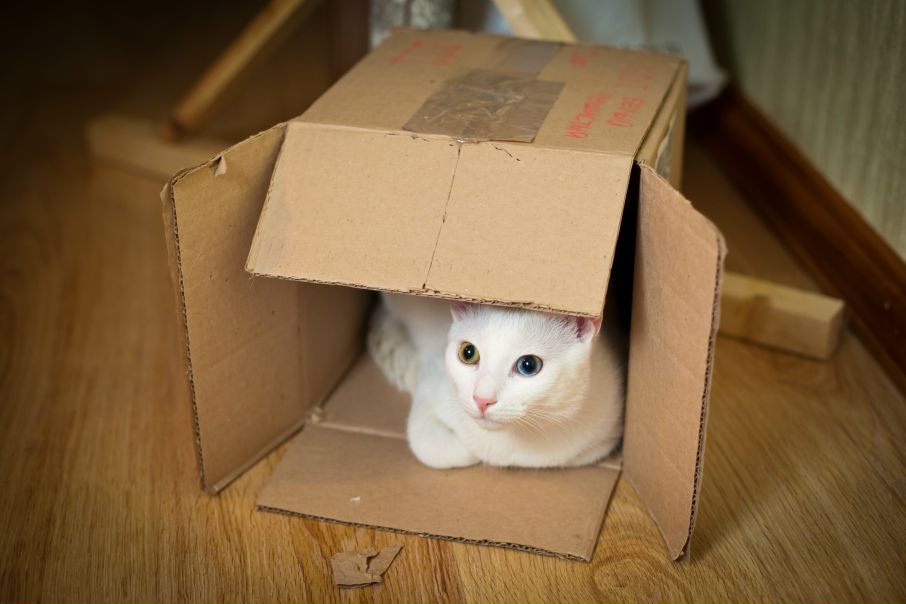 №10, Андрей Иванов, 45 лет, Санкт-Петербург №10, Андрей Иванов, 45 лет, Санкт-Петербург