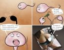Фотография Евгений Шорников