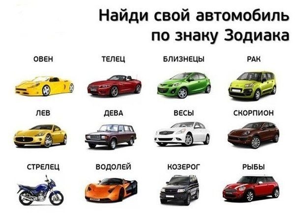 Елена Жукова | Брянск