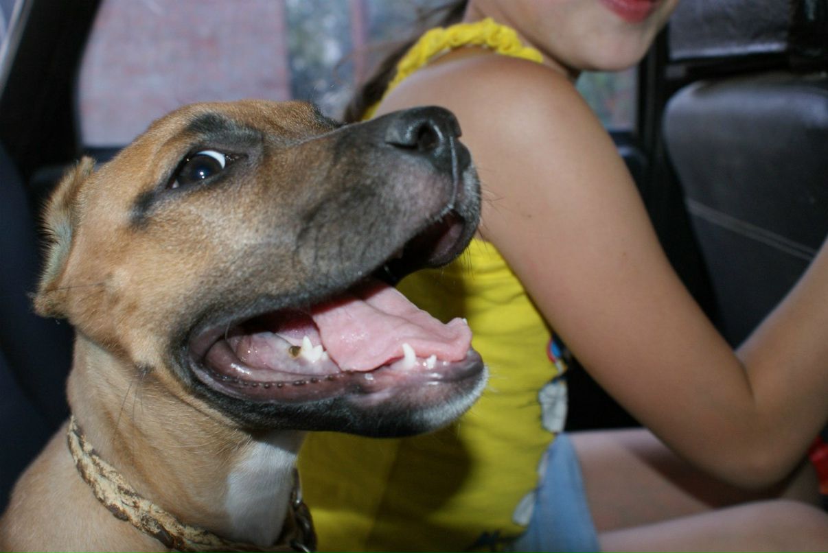 Emma Barton | Ростов-на-Дону