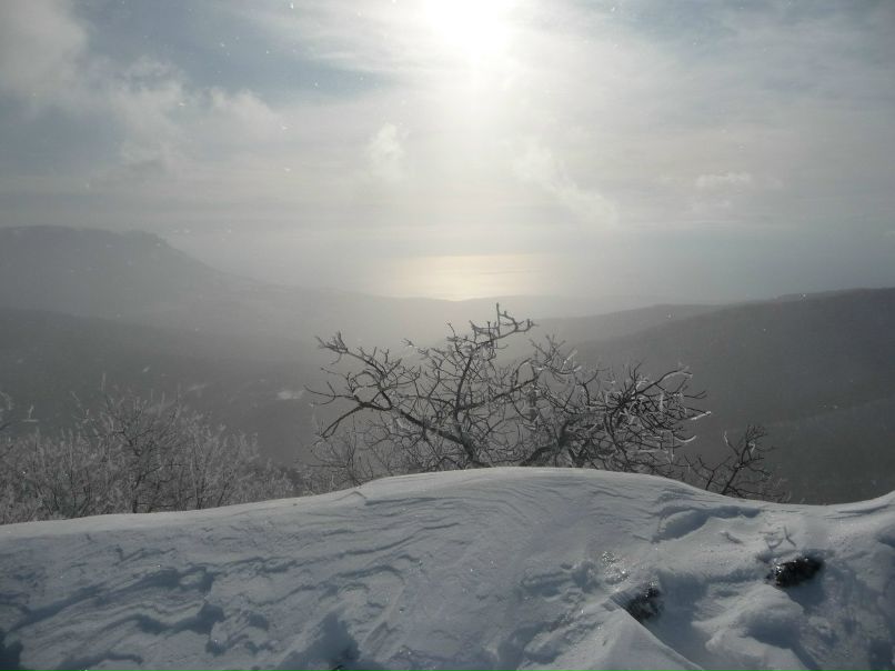 Дима Точичкин | Portmore