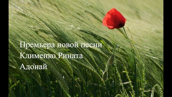 Рината Клименко