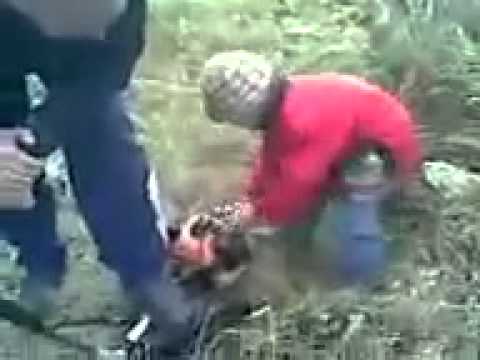 Малой матерится по