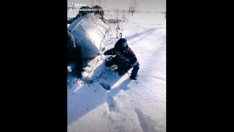 истэлек